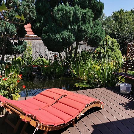 Ferienhaus Mit Mediterraner Terrasse Müllrose المظهر الخارجي الصورة